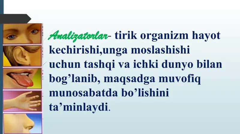 Sensortizim 2