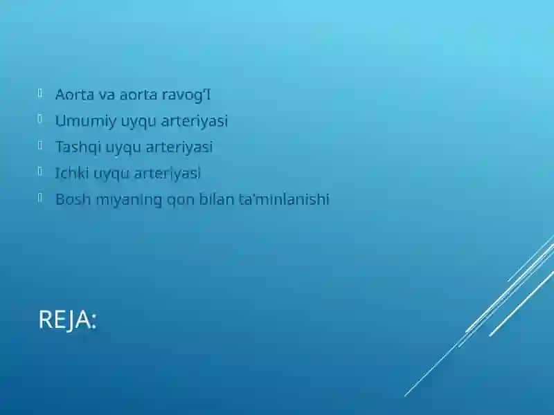 Aorta va aortaravog’i 2