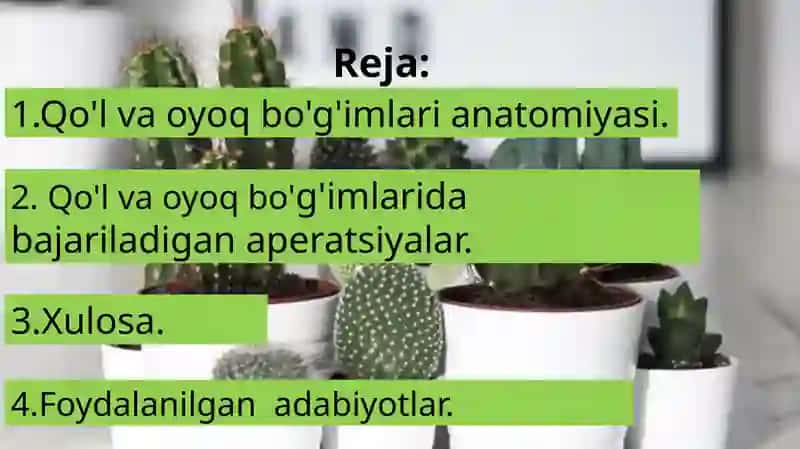 Qo'l va oyoq bo'g'imlari klinik anatomiyasi va ularda bajariladigan zamonaviy aperatsiyalar 2