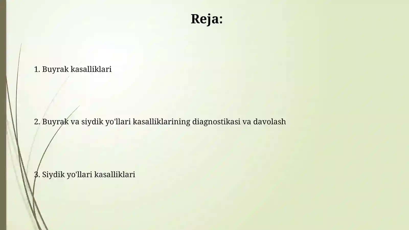 Buyrak va siydik ajratuv yoʻllari kasalliklari 2
