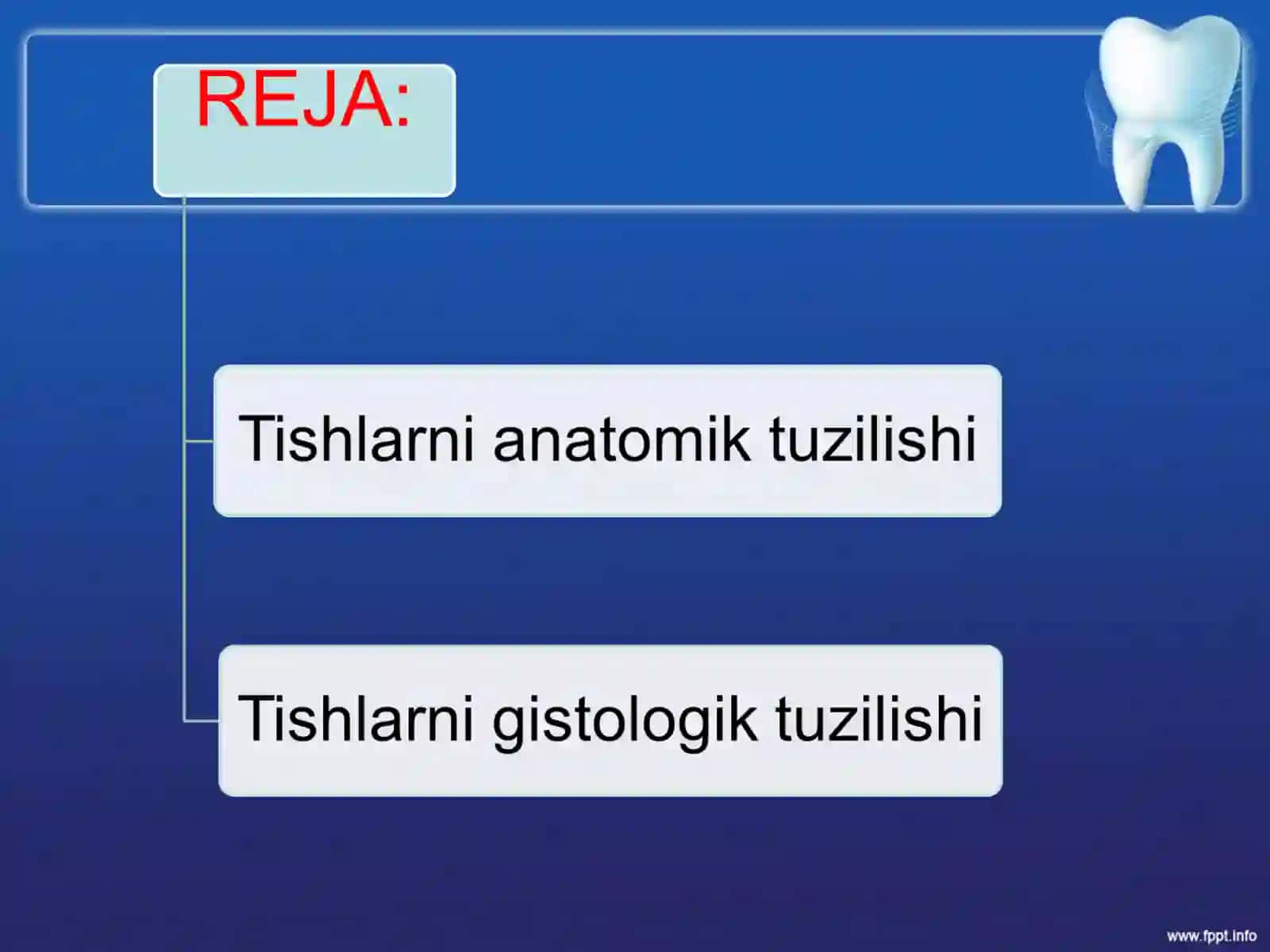 Tishlarning anatomik va gistalogik tuzilishi slayd prezintatsiya taqdimot mustaqil ish 2