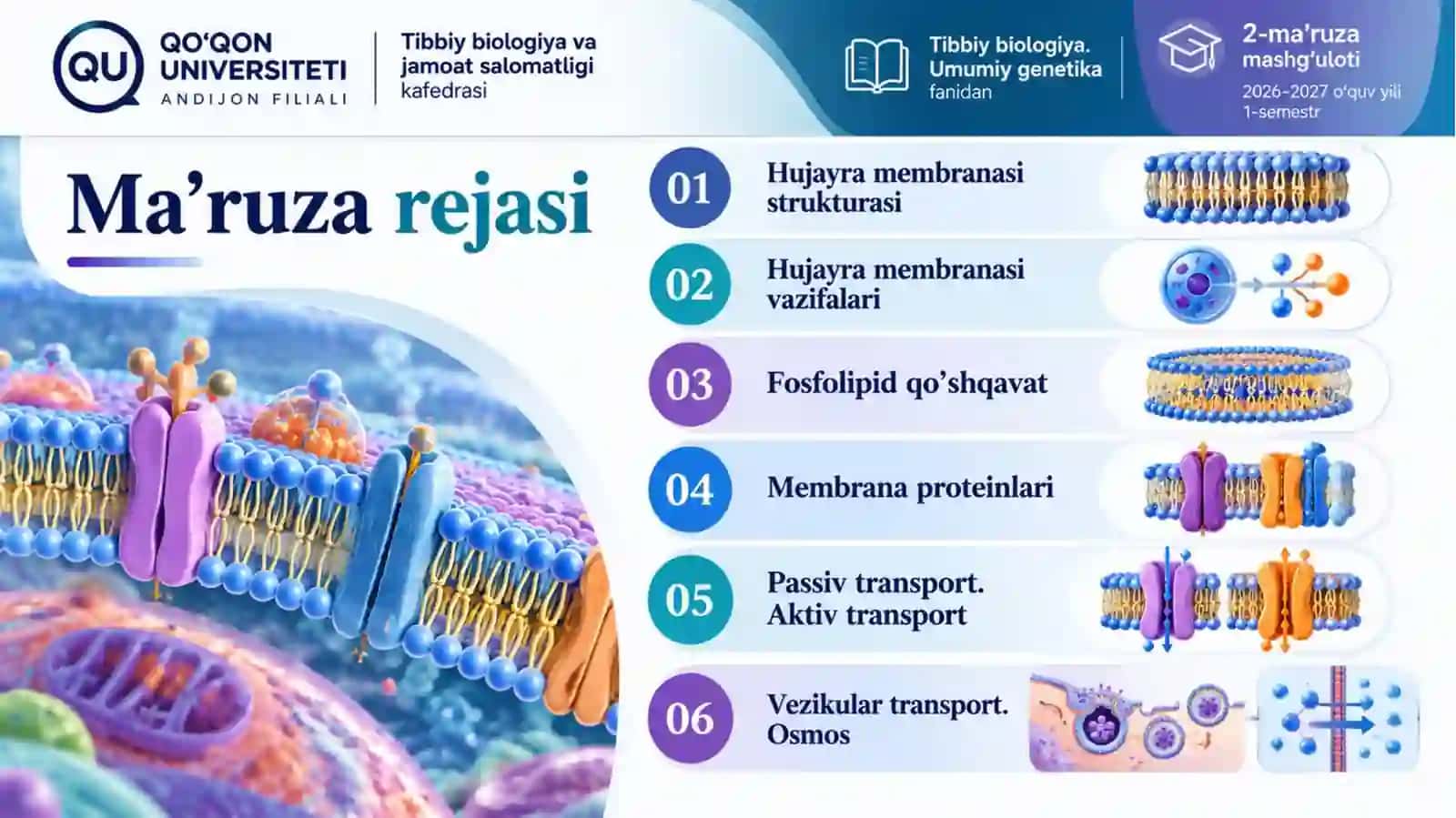 HUJAYRA MEMBRANASI 2