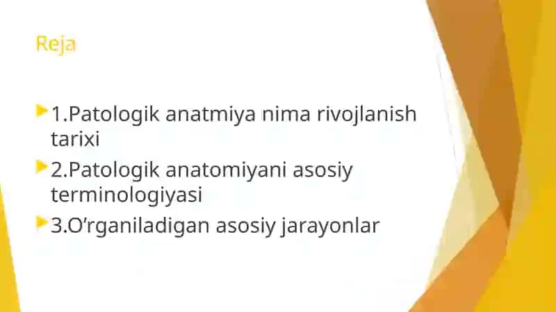 PATOLOGIK ANATOMIYA 2