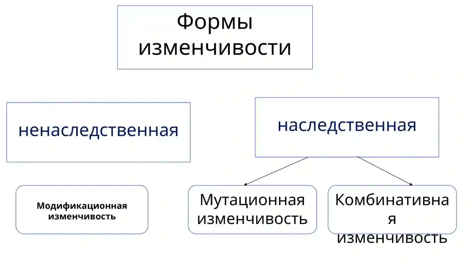 Комбинативная изменчивость 2