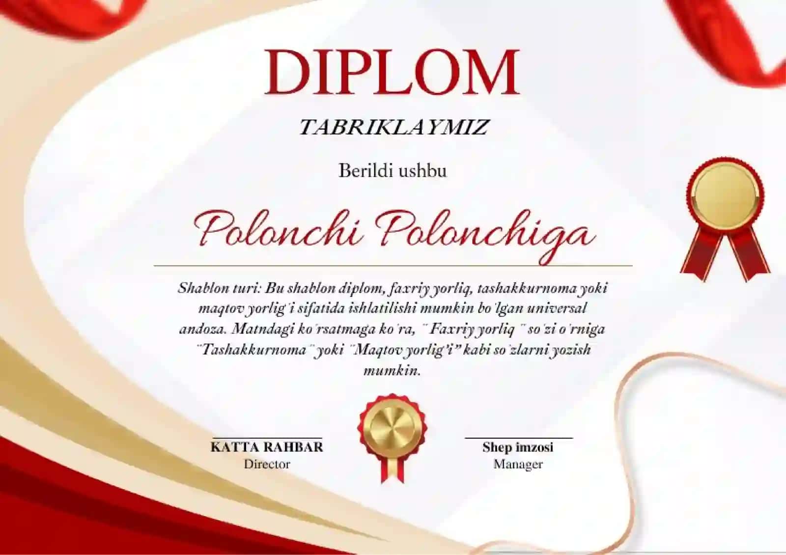 DIPLOM 2