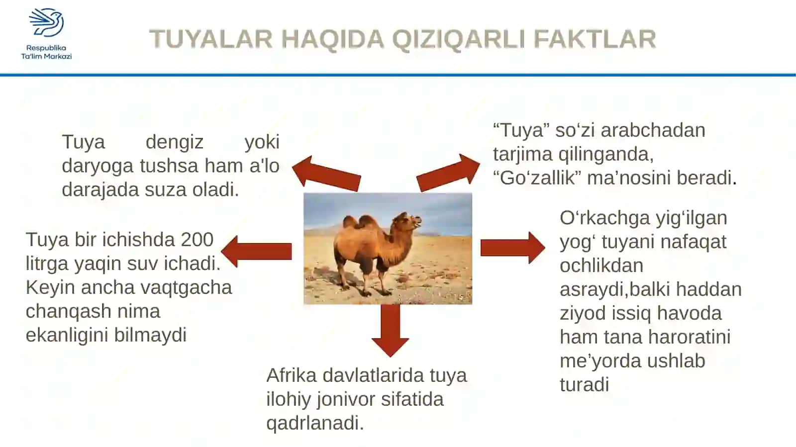 2-sinf Tasviriy san'at Tuya rasmini ishlash dars taqdimoti 2