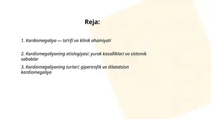 Kardiomegaliya 2