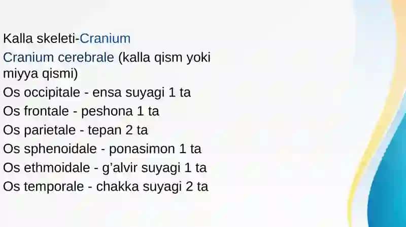 Kalla suyaklari rentgenanatomiyasi.Kallaning jinsiy va shaxsiy tafovutlari 2