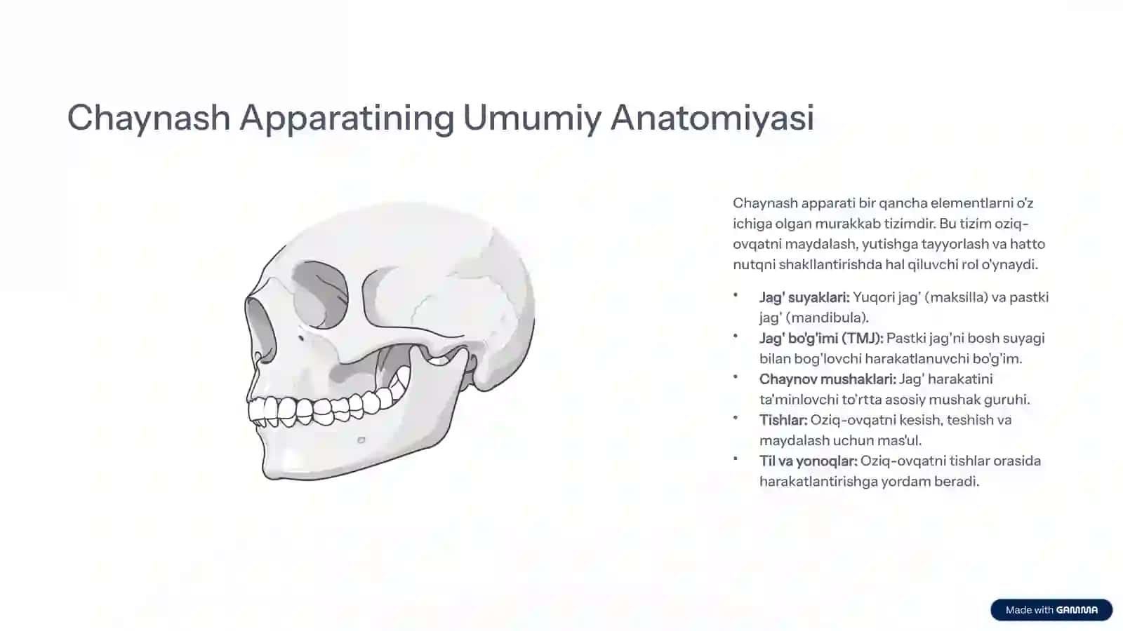 Chaynash Apparatining Umumiy Anatomiyasi 2