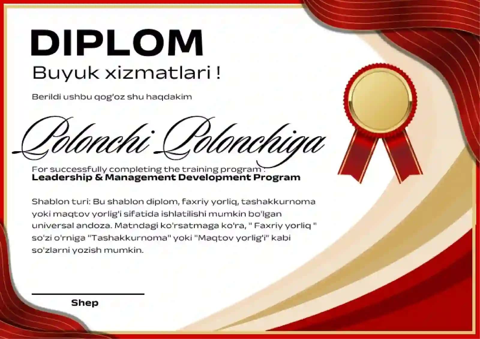 DIPLOM 2