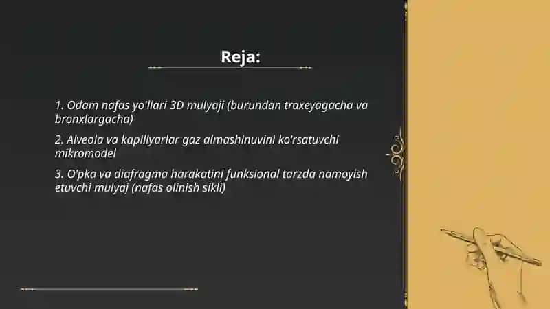 Odam nafas yo'llari 3D mulyaji, Alveola va kapillyarlar gaz almashinuvini ko'rsatuvchi mikromodel, O'pka va diafragma harakatini funksional tarzda namoyish etuvchi mulyaj 2