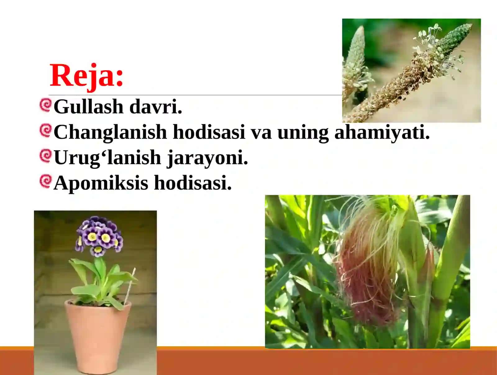 GULLASH DAVRI, CHANGLANISH VA URUG‘LANISH HAMDA ULARNING QISHLOQ XO‘JALIGIDAGI AHAMIYATI 2