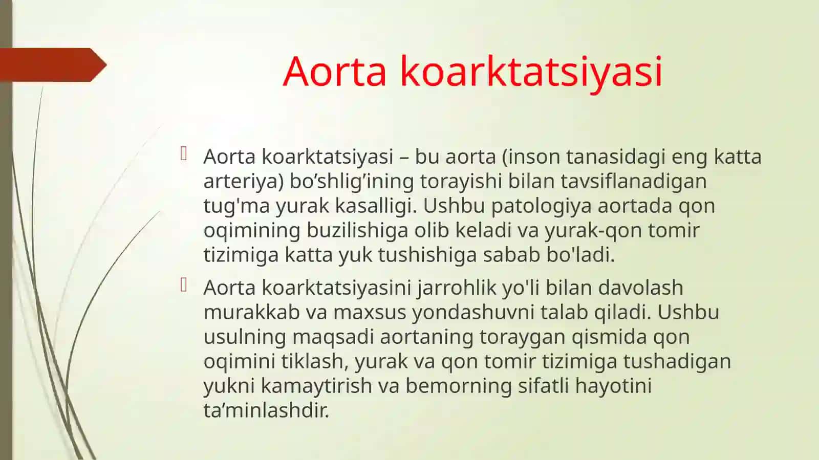Aorta koarktatsiyasi 2