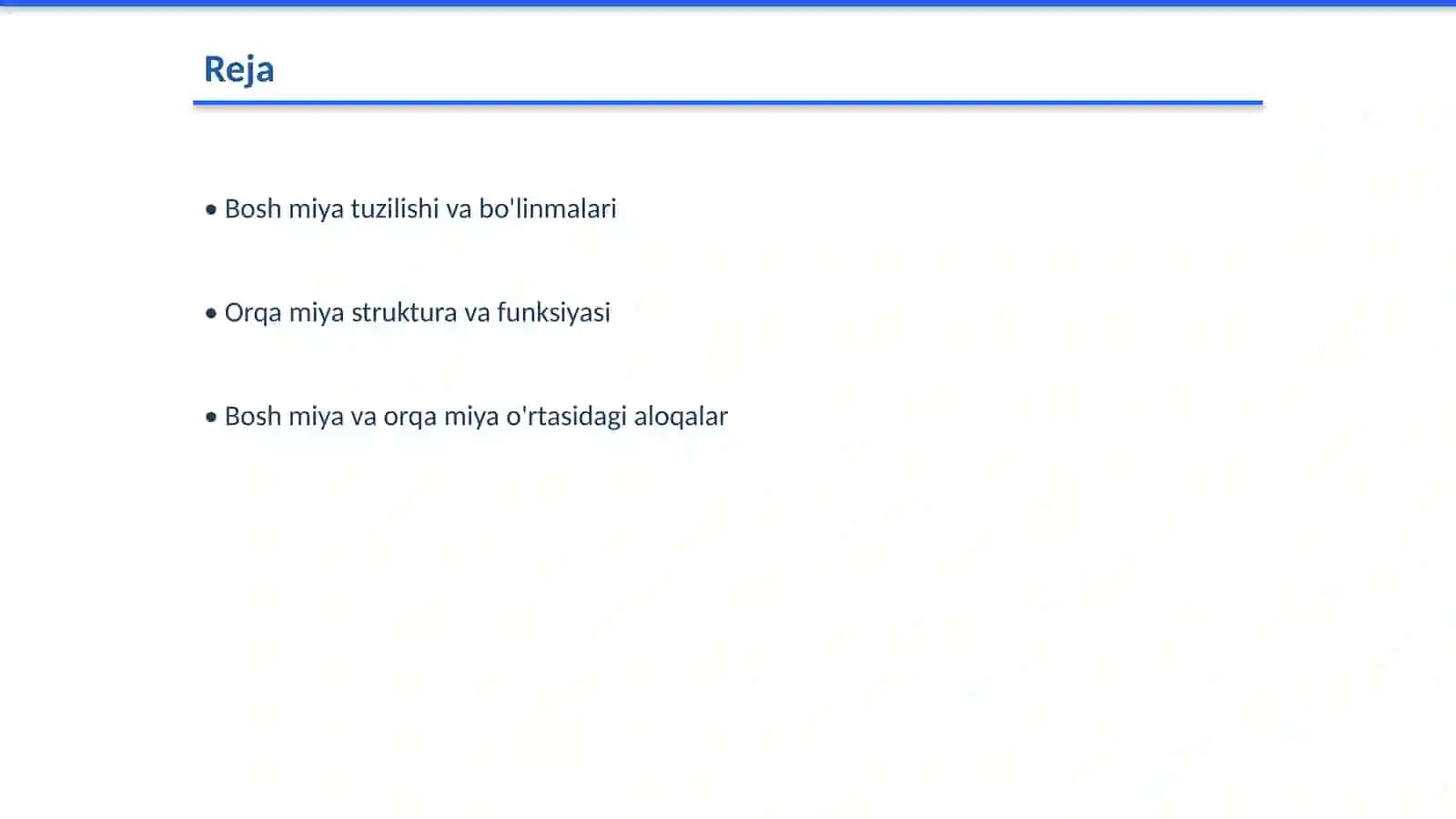 Bosh miya va orqa miya anatomiyasi 2