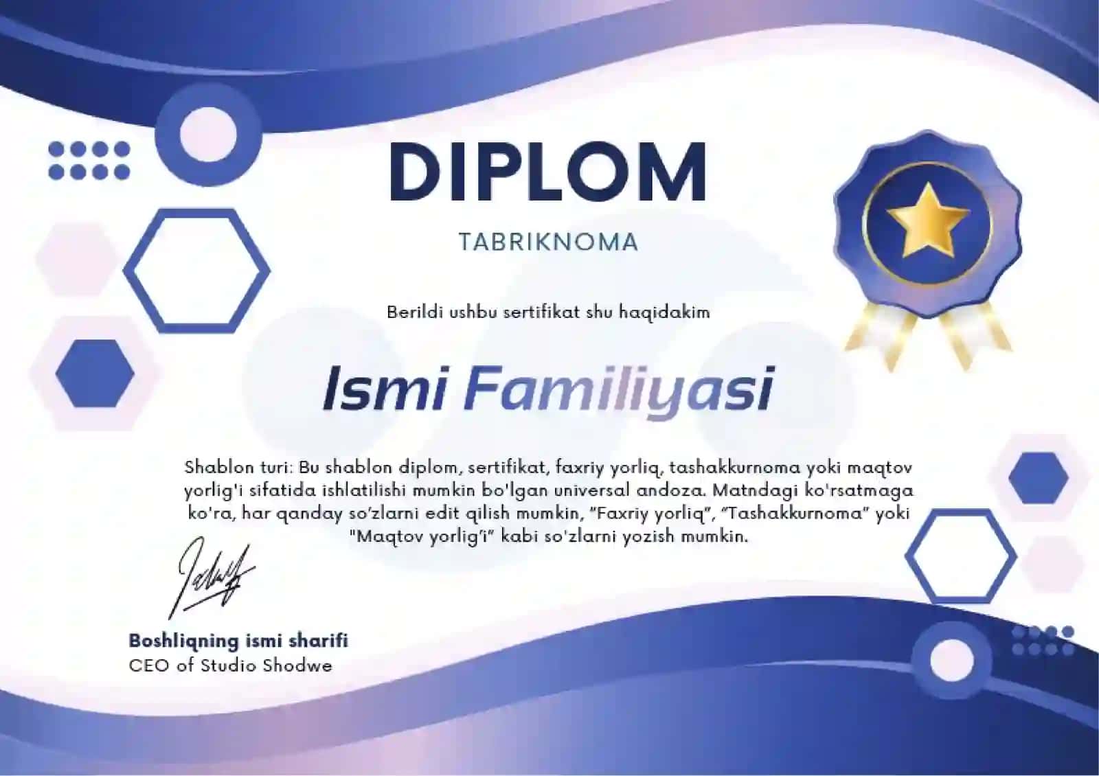 DIPLOM 2