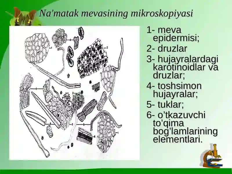 vitaminlar 2