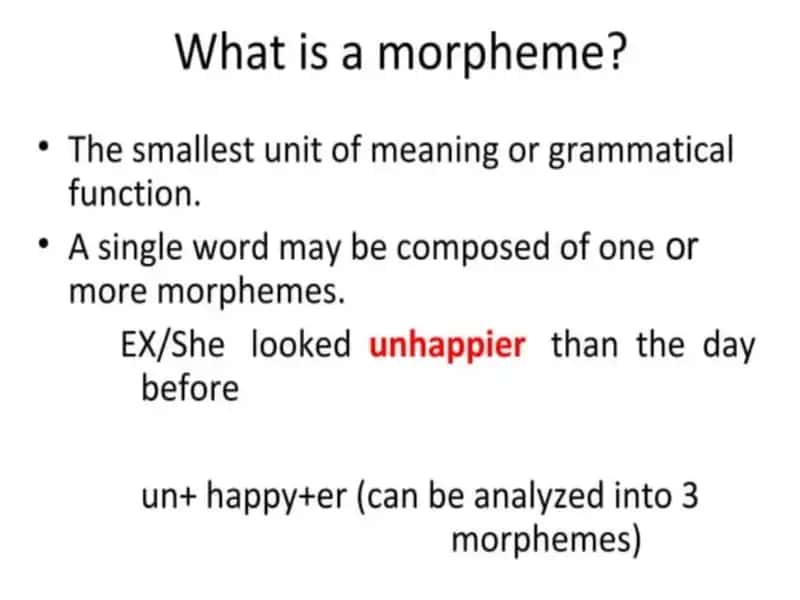 Morphology 2