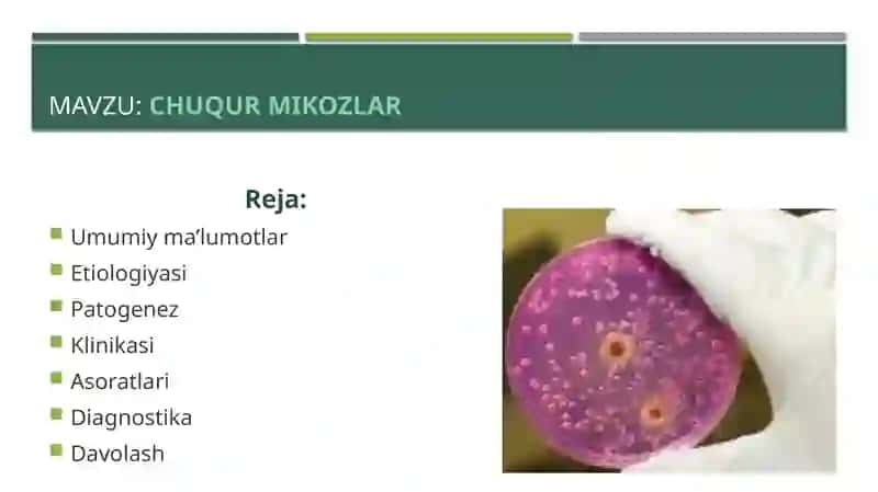 Chuqur mikozlar 2