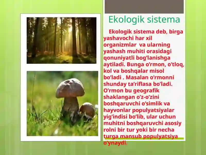 Ekosistemavaularningturlari 2