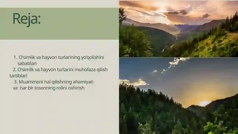 Egologik muammolar,O'simlik va hayvon turlarining yo'qolishi 2