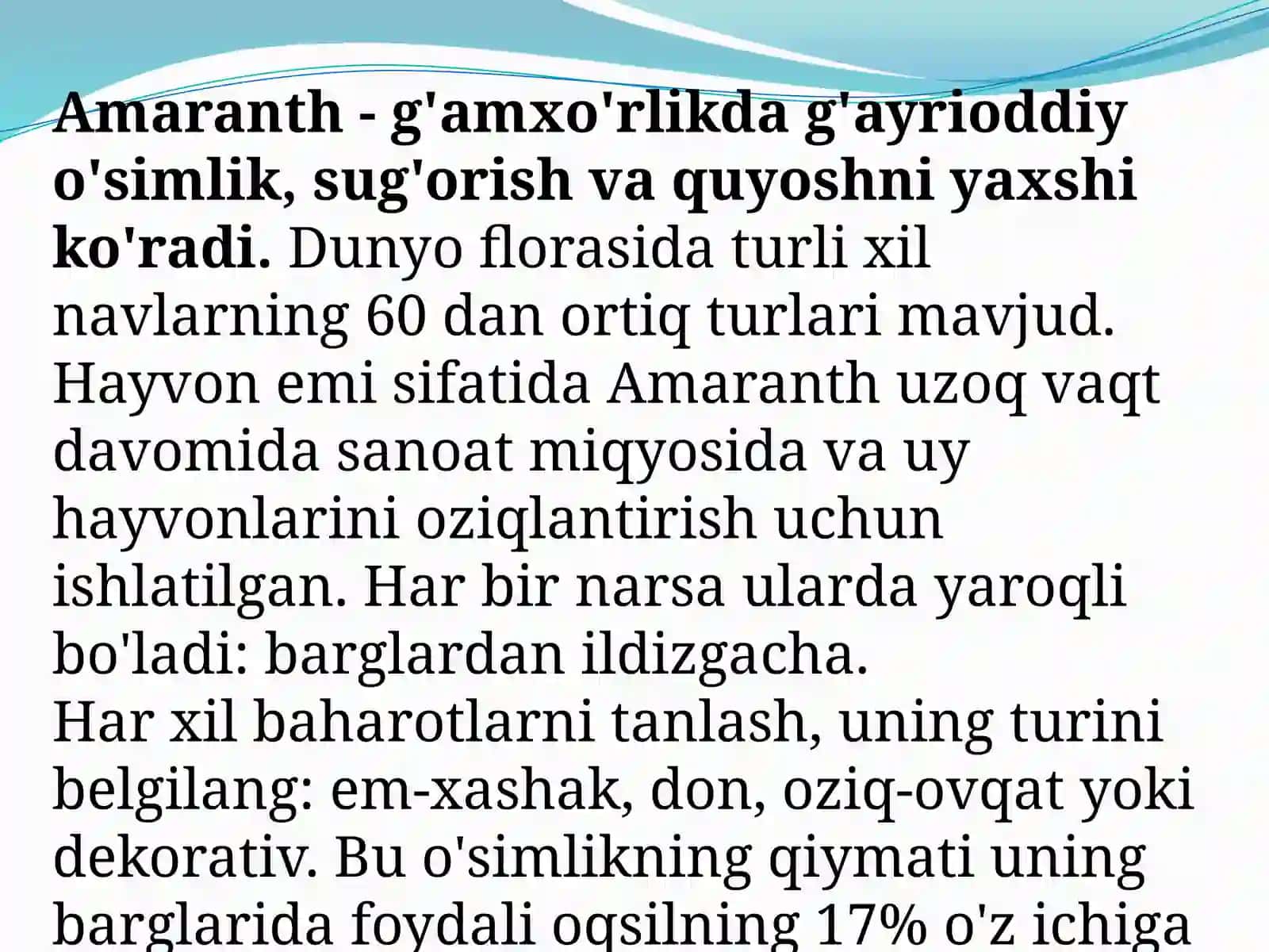 Amarant o’simligi dorivorlik xususiyatlar va bioekologiyasi 2