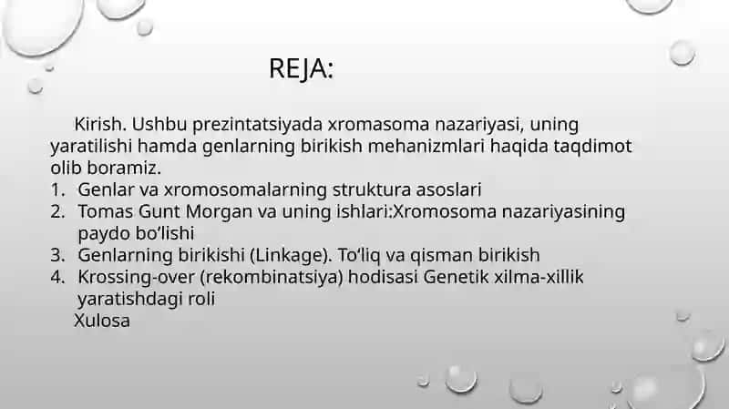 birikkan holda irsiylanish 2