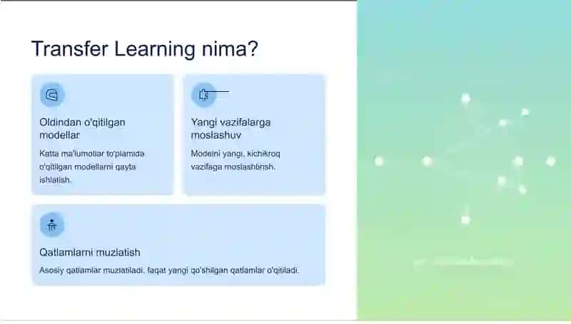 Transfer Learning va Fine-tuning 2