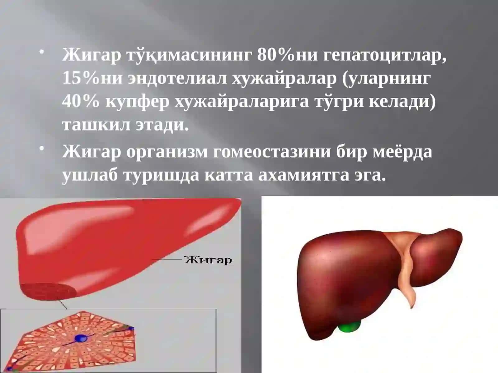 Жигар тўқима 2