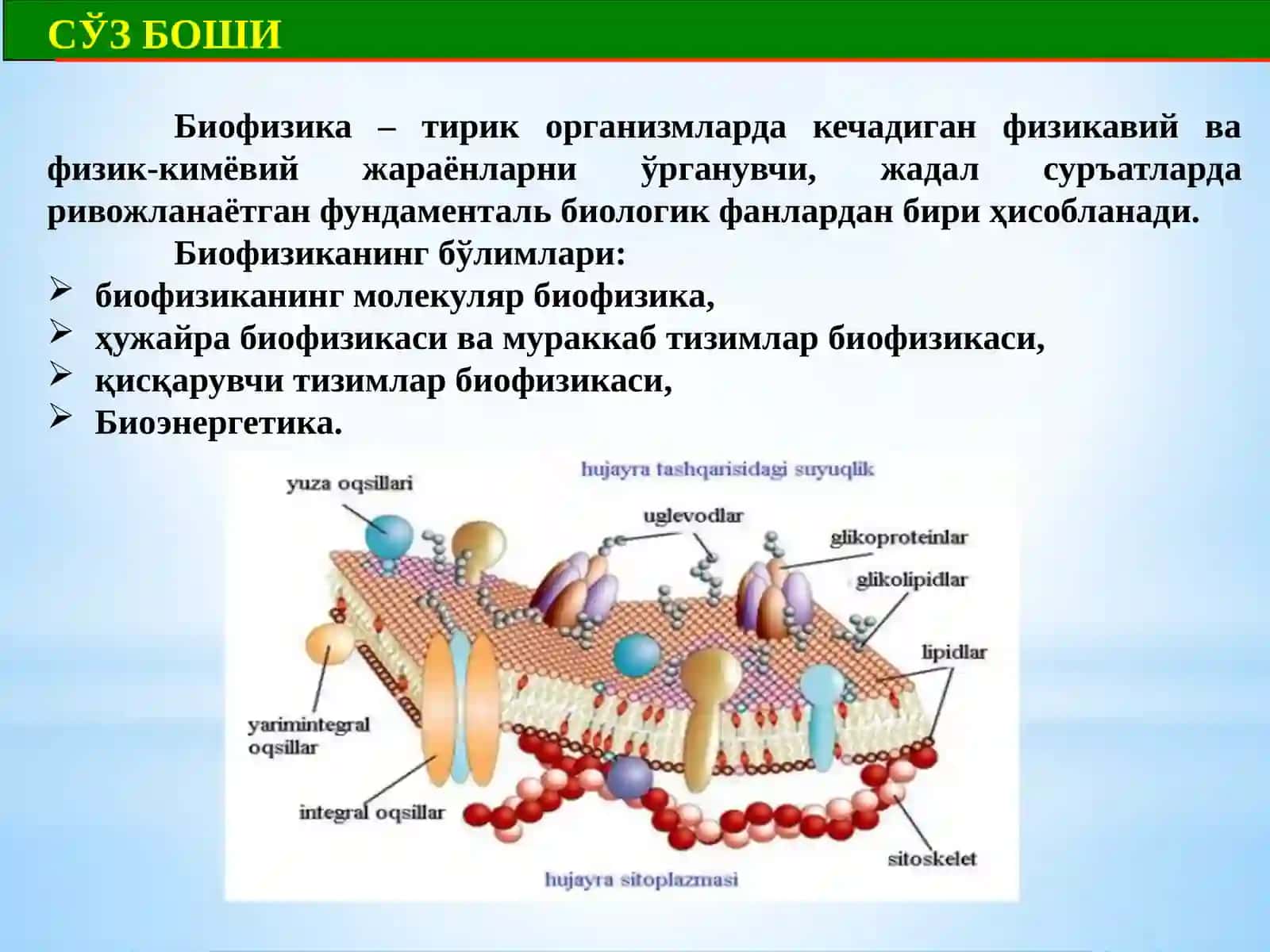 Tibbiyotda biologik fizika faniga kirish 2