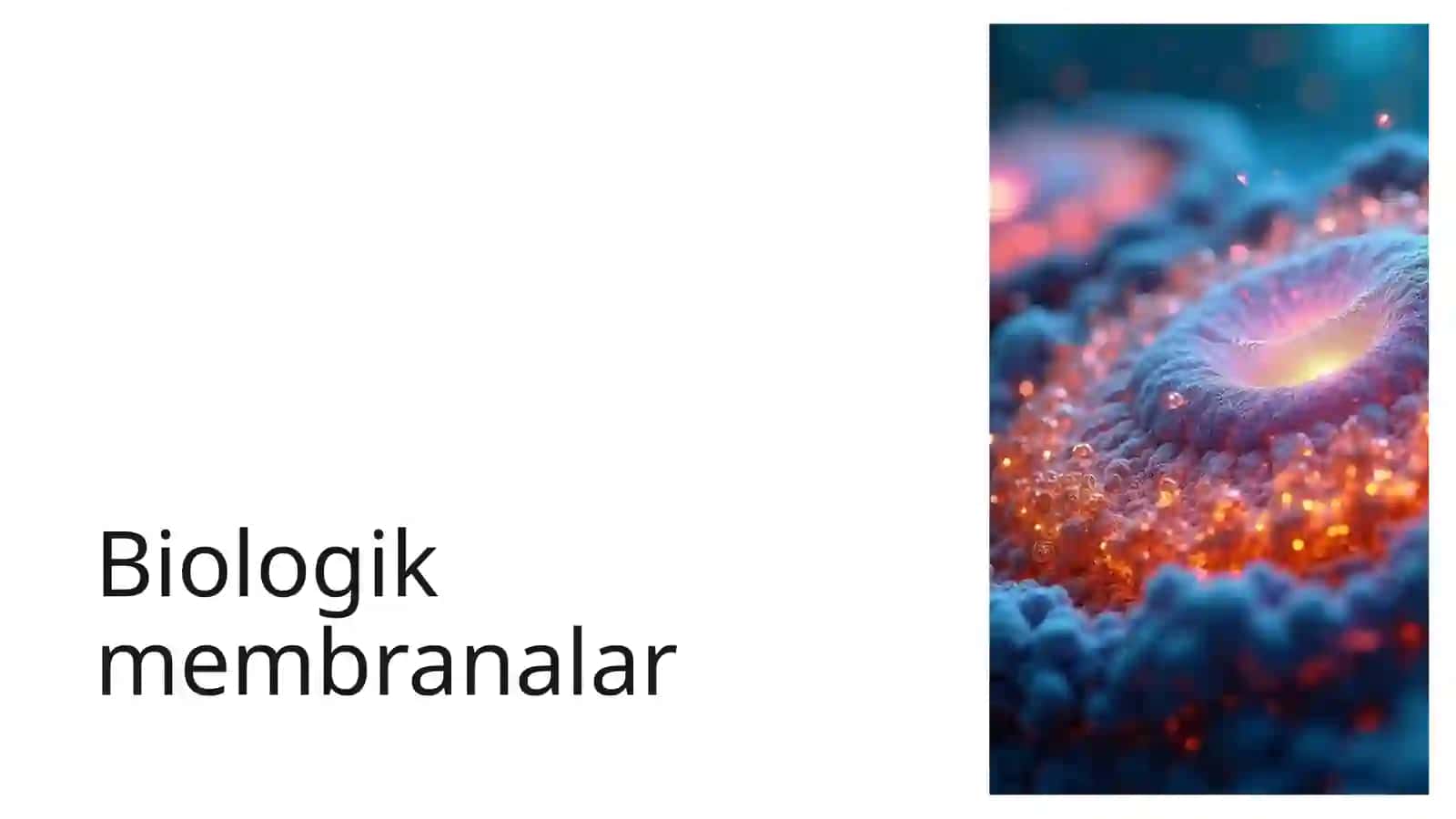 Biologik membranalardagi fizik jarayonlar 2