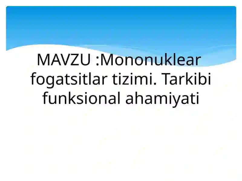 Mononuklear fagotsitlar tizimi 2