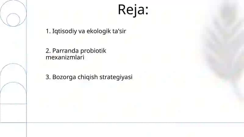 Tovuqlarga probiotik 2