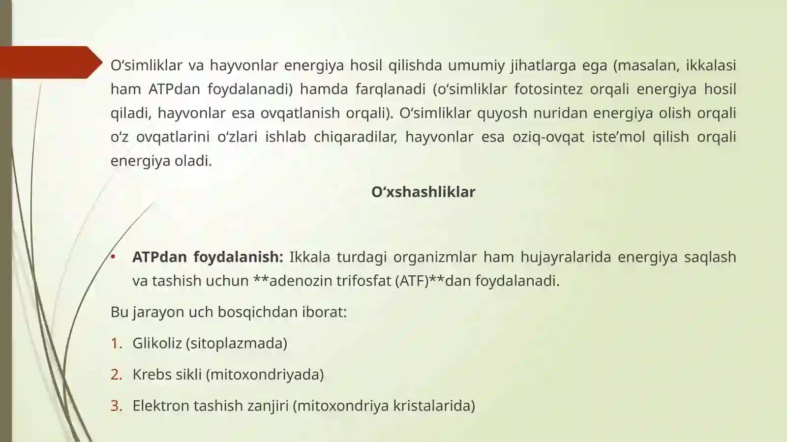Hayvonlar va o'simliklarda energiya hosil bo'lishi 2