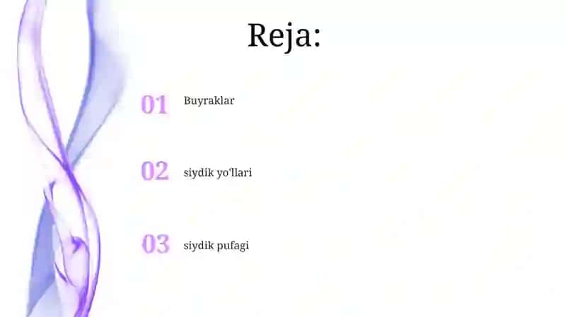 siydik ajratish a'zolari (organa urinaria) 2