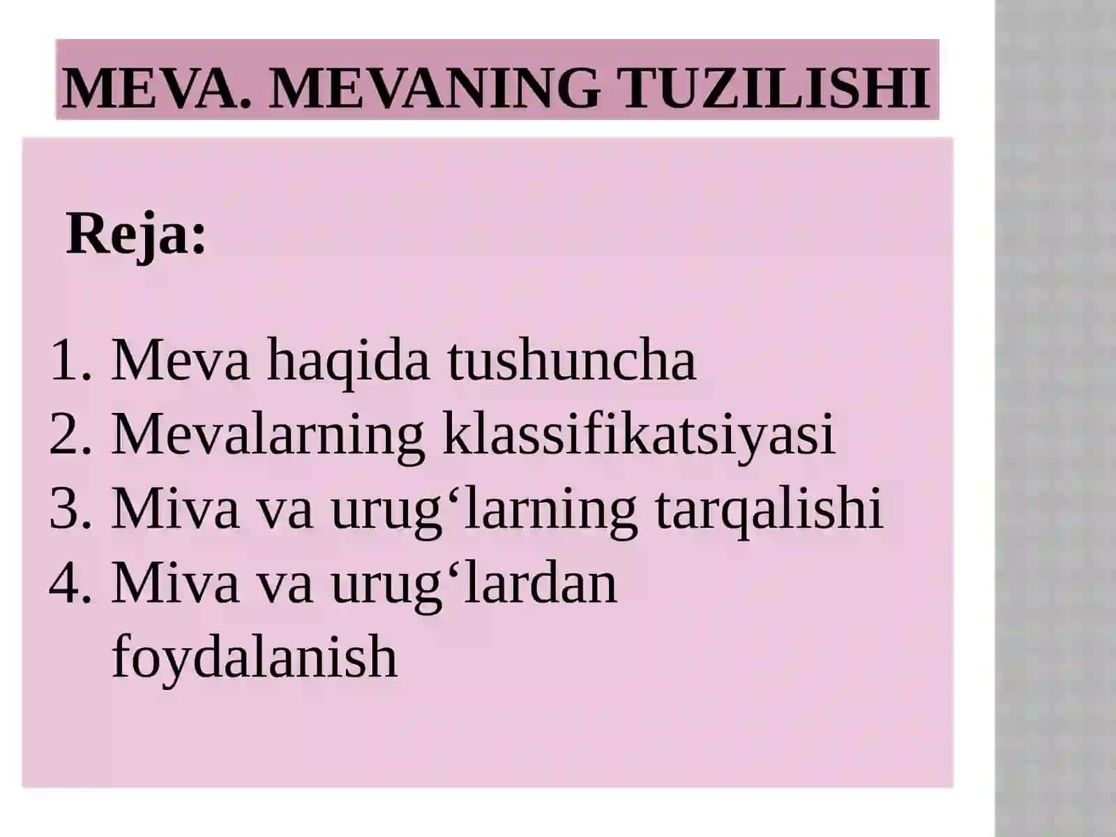 MEVA. MEVANING TUZILISHI 2