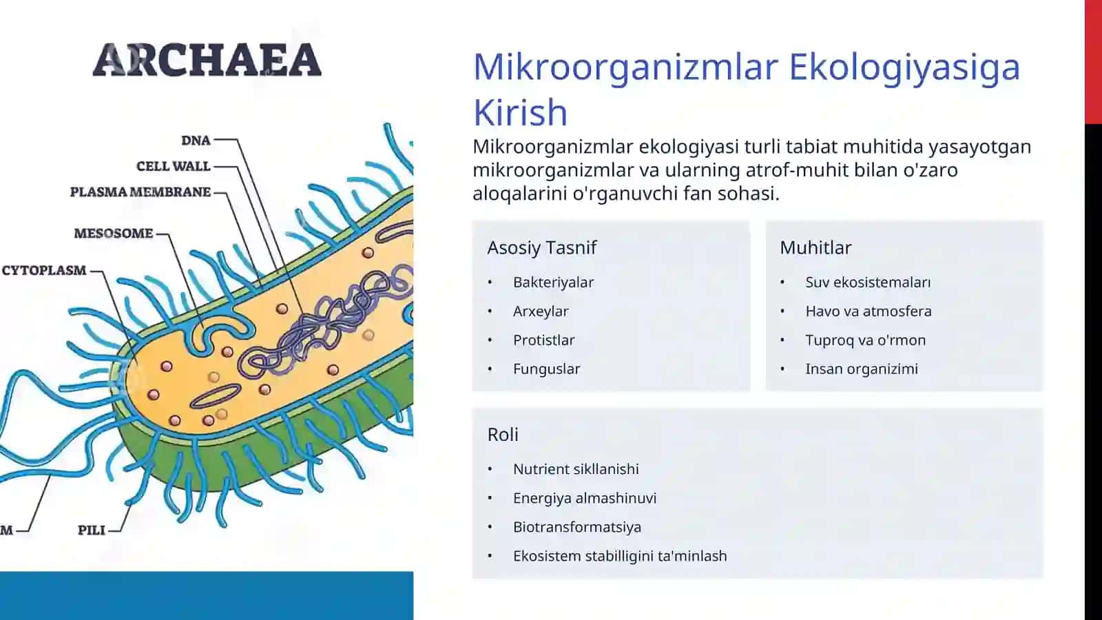 Mikroorganizmlar Ekologiyasiga Kirish 2