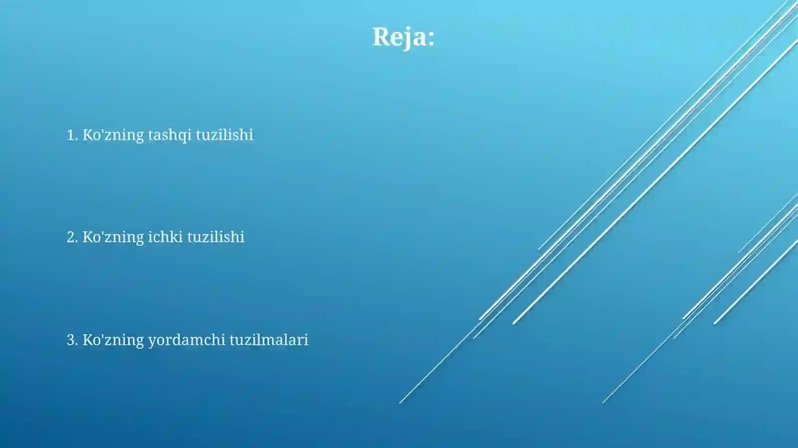 Koʻz ichki va tashqi tuzilishi 2