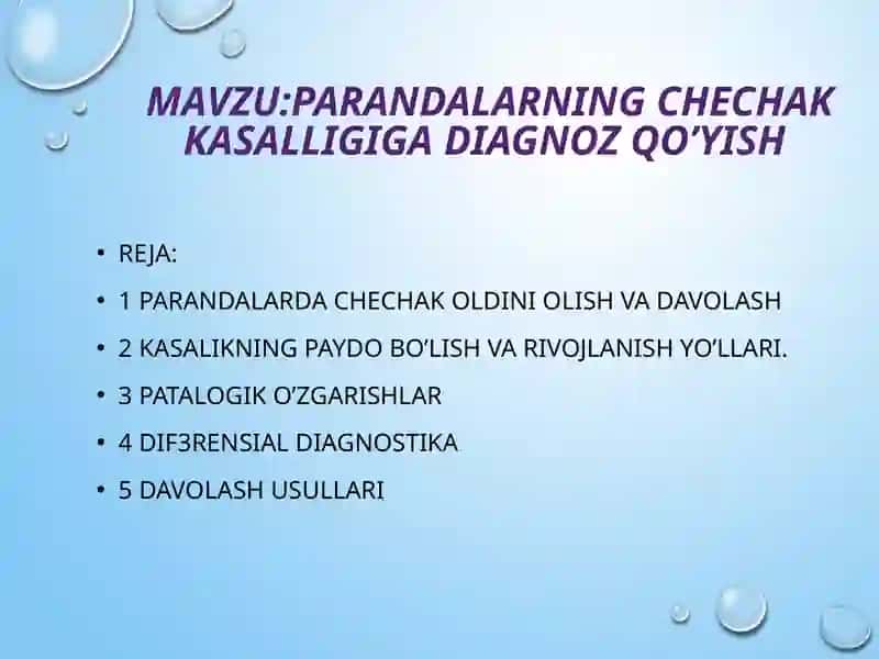 Parandalarding chechak kasalligiga diagnoz qo'yish 2