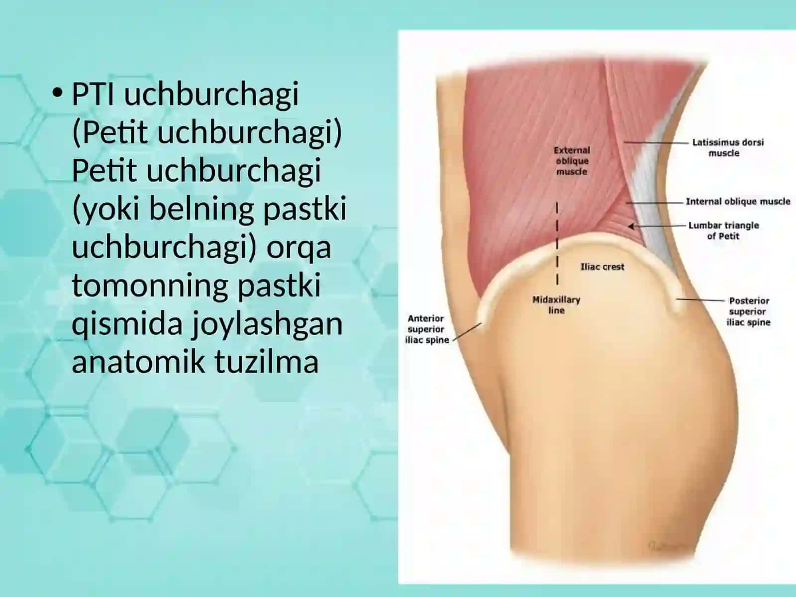 Petit(PTI) uchburchagi va oraliq churralar 2