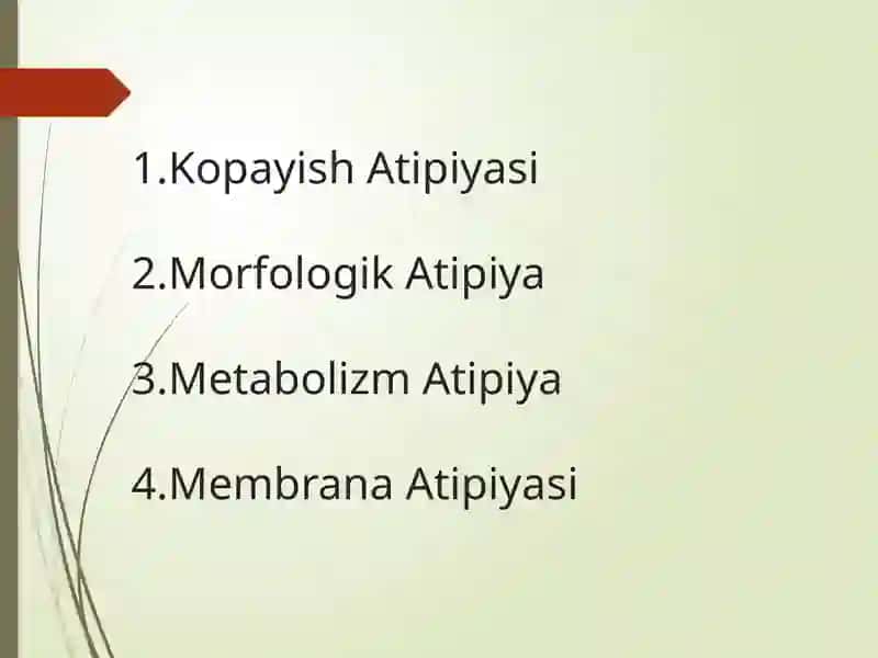 O`smahujayralarining ozigaxosligi 2