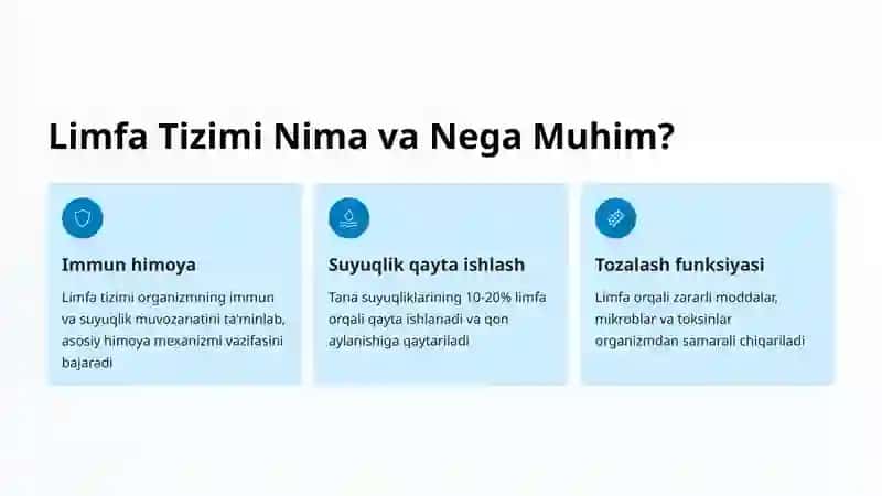 Limfa Tizimining Umumiy Qurilishi 2