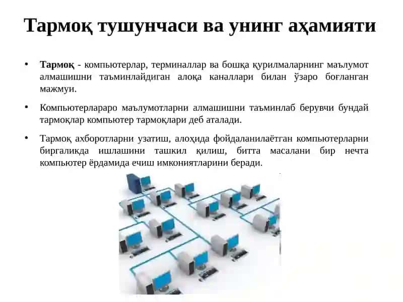 Тармоқ тушунчаси ва унинг аҳамияти 2