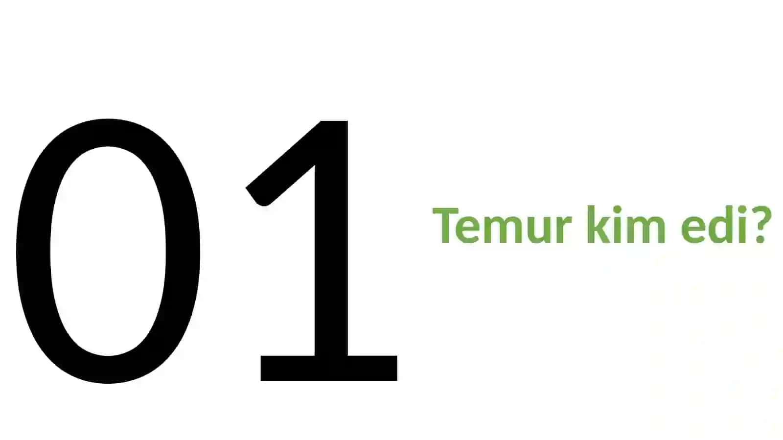 AMIR TEMUR VA UNINGDUNYO TARIXIDA TUTGAN O’RNI FANIDAN TAQDIMOT 2