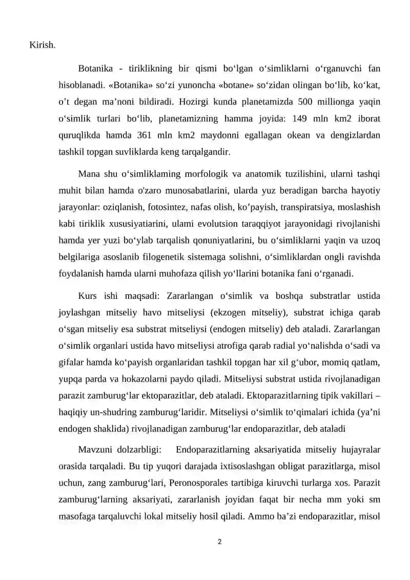 Tuban Zamburug’lar Vakillarining Tuzilishi Va ularning Xalq XO’jaligidagi Ahamiyati 2
