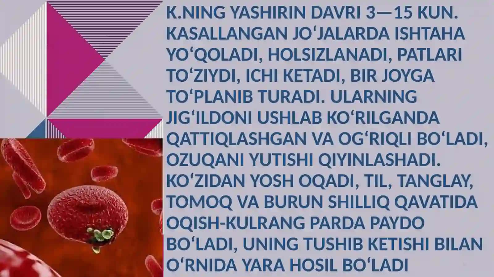 Kandidoz 2