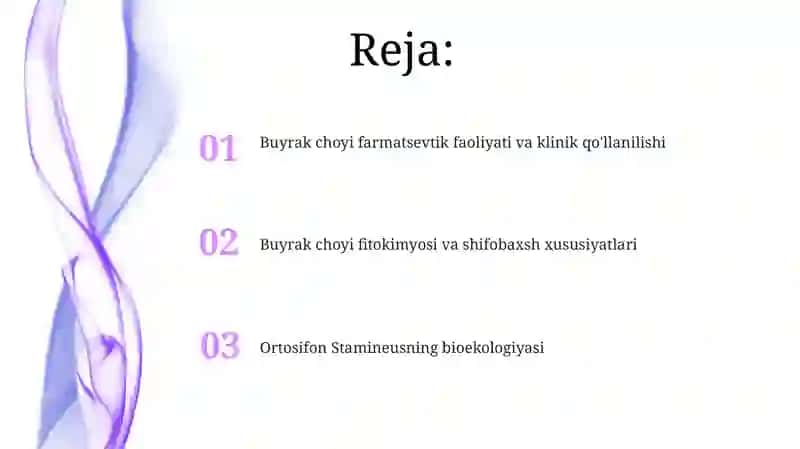 Buyrak choyi (Orthosiphon stamineus Benth) 2