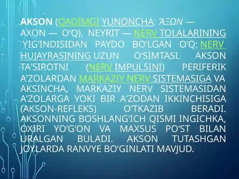 AKSON VA DENTRITGA 2