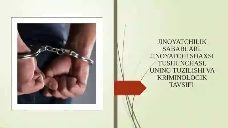 Jinoyatchilik sabablari. Jinoyatchi shaxsi tushunchasi, uning tuzilishi va kriminologik tavsifi. 2