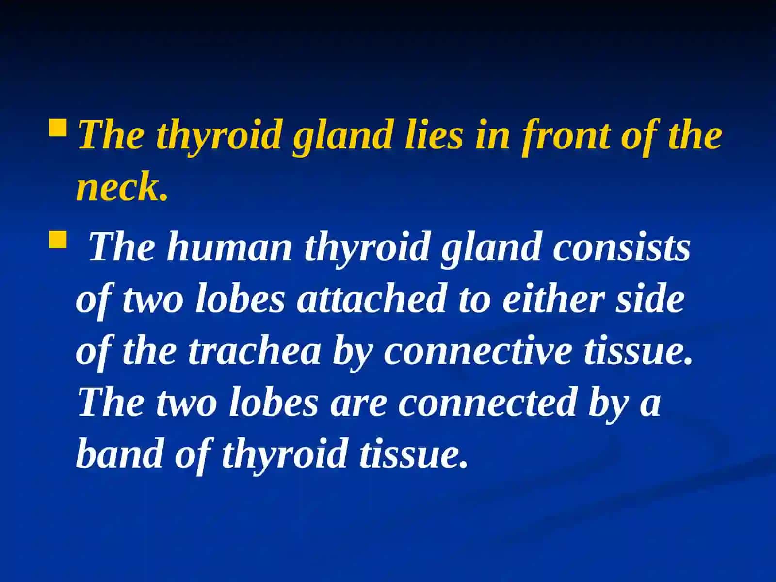Tiroit bezlari Throid gland 2