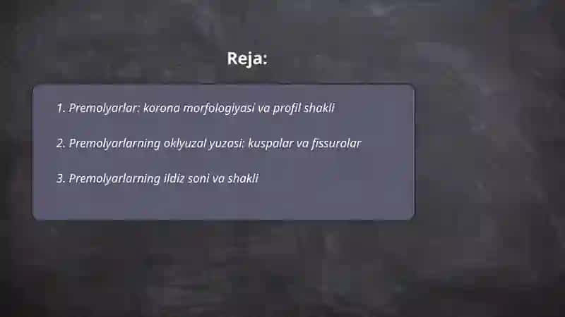 Doimiy tishlarda chaynov tishlarining tuzilishi 2